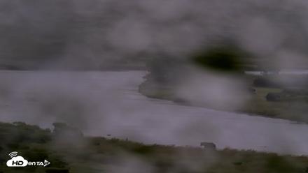 Kodiak Alaska Brown Bears Live Webcam - Aug 22, 2026, 7:52am AKDT