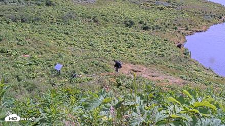 Kodiak Alaska Brown Bears Live Webcam - Aug 1, 2026, 2:34pm AKDT