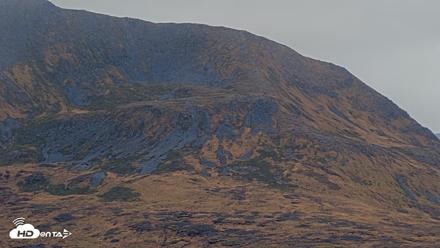 Kodiak Alaska Brown Bears Live Webcam - Oct 6, 2026, 2:15pm AKDT
