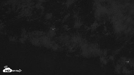 Kodiak Alaska Brown Bears Live Webcam - Aug 17, 2026, 10:48pm AKDT