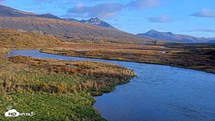 Kodiak Alaska Brown Bears Live Webcam - Oct 7, 2026, 6:30pm AKDT