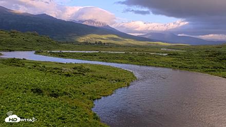 Kodiak Alaska Brown Bears Live Webcam - Jul 23, 2026, 9:17pm AKDT