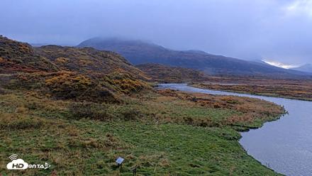 Kodiak Alaska Brown Bears Live Webcam - Oct 8, 2026, 10:08am AKDT