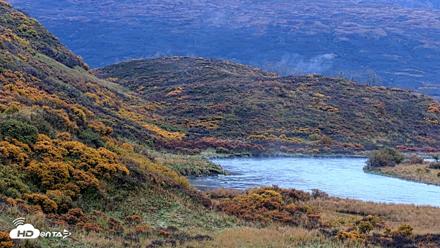 Kodiak Alaska Brown Bears Live Webcam - Oct 8, 2026, 8:45am AKDT