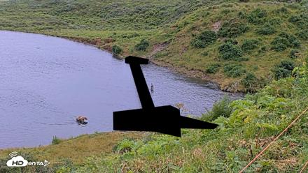 Kodiak Alaska Brown Bears Live Webcam - Aug 10, 2026, 8:07pm AKDT