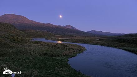 Kodiak Alaska Brown Bears Live Webcam - Sep 23, 2026, 8:42pm AKDT