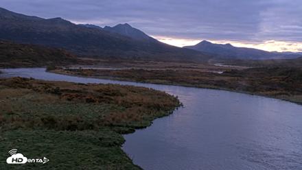 Kodiak Alaska Brown Bears Live Webcam - Oct 8, 2026, 8:12am AKDT