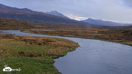 Kodiak Alaska Brown Bears Live Webcam - Oct 8, 2026, 5:42pm AKDT