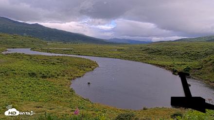 Kodiak Alaska Brown Bears Live Webcam - Aug 14, 2026, 5:51pm AKDT