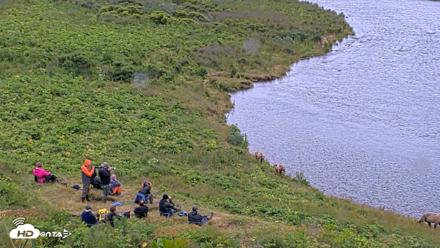 Kodiak Alaska Brown Bears Live Webcam - Aug 3, 2026, 2:48pm AKDT