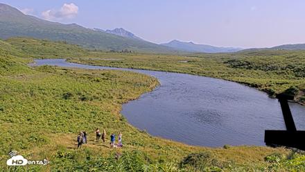 Kodiak Alaska Brown Bears Live Webcam - Aug 8, 2026, 5:00pm AKDT
