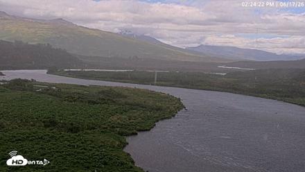 Kodiak Alaska Brown Bears Live Webcam - Jun 17, 2026, 2:25pm AKDT