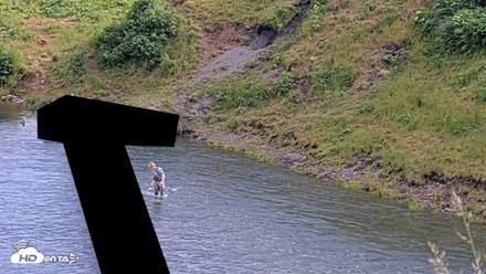 Kodiak Alaska Brown Bears Live Webcam - Aug 1, 2026, 6:15pm AKDT