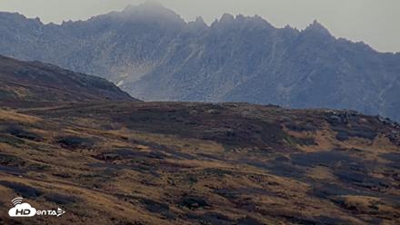 Kodiak Alaska Brown Bears Live Webcam - Oct 6, 2026, 2:18pm AKDT