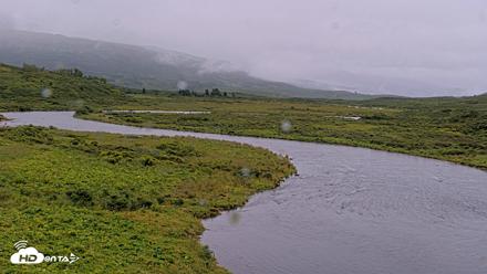Kodiak Alaska Brown Bears Live Webcam - Aug 19, 2026, 11:58am AKDT