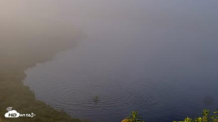 Kodiak Alaska Brown Bears Live Webcam - Jul 30, 2026, 7:27am AKDT
