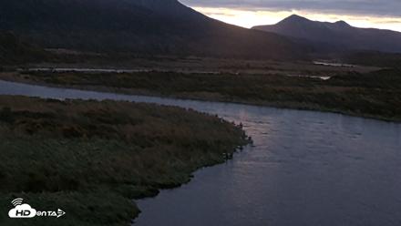 Kodiak Alaska Brown Bears Live Webcam - Oct 8, 2026, 8:00am AKDT