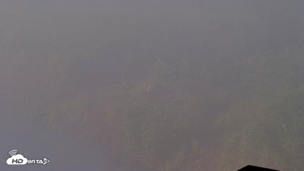 Kodiak Alaska Brown Bears Live Webcam - Jul 30, 2026, 7:36am AKDT