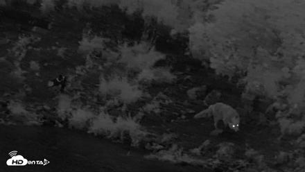 Kodiak Alaska Brown Bears Live Webcam - Aug 14, 2026, 6:10am AKDT