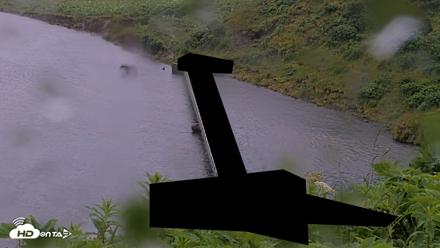 Kodiak Alaska Brown Bears Live Webcam - Jul 21, 2026, 6:48am AKDT