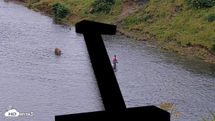 Kodiak Alaska Brown Bears Live Webcam - Aug 11, 2026, 7:48am AKDT