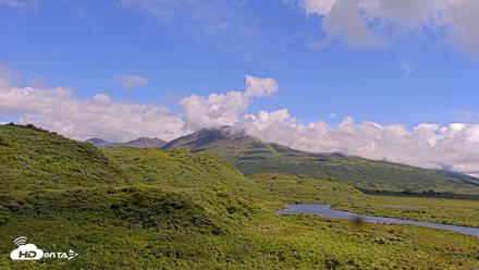 Kodiak Alaska Brown Bears Live Webcam - Aug 2, 2026, 3:42pm AKDT