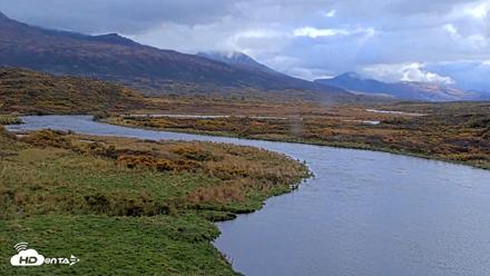 Kodiak Alaska Brown Bears Live Webcam - Oct 5, 2026, 3:56pm AKDT