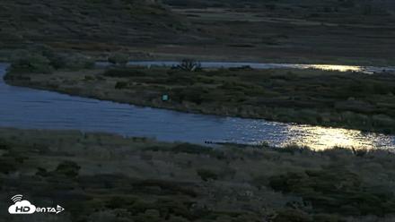 Kodiak Alaska Brown Bears Live Webcam - Sep 23, 2026, 8:51pm AKDT