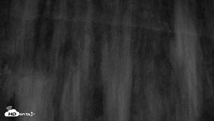 Kodiak Alaska Brown Bears Live Webcam - Oct 5, 2026, 5:28am AKDT