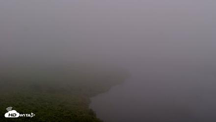 Kodiak Alaska Brown Bears Live Webcam - Aug 10, 2026, 7:47am AKDT