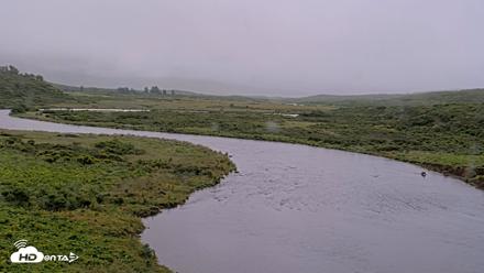 Kodiak Alaska Brown Bears Live Webcam - Aug 18, 2026, 8:09am AKDT