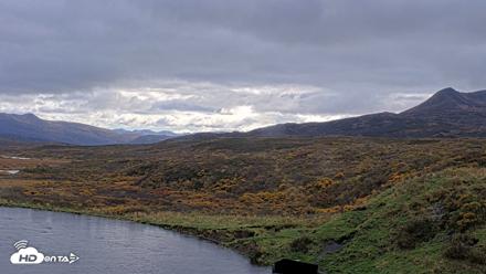 Kodiak Alaska Brown Bears Live Webcam - Oct 6, 2026, 2:21pm AKDT