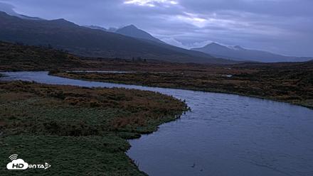 Kodiak Alaska Brown Bears Live Webcam - Oct 5, 2026, 8:00am AKDT