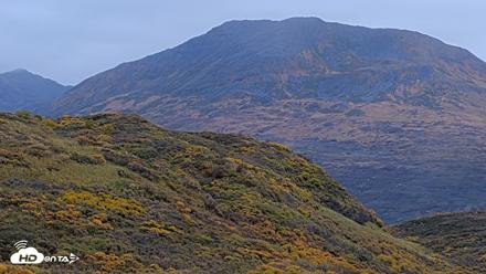 Kodiak Alaska Brown Bears Live Webcam - Oct 6, 2026, 2:15pm AKDT