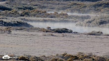Kodiak Alaska Brown Bears Live Webcam - Oct 1, 2026, 9:59am AKDT