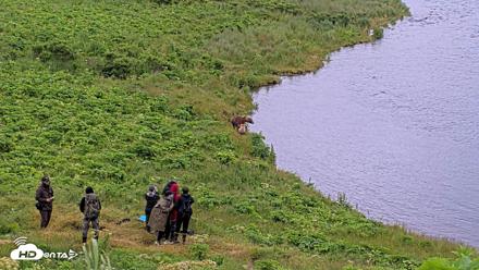 Kodiak Alaska Brown Bears Live Webcam - Jul 27, 2026, 5:50pm AKDT