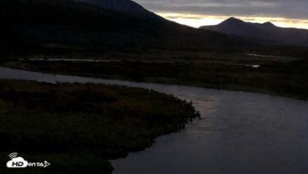 Kodiak Alaska Brown Bears Live Webcam - Oct 8, 2026, 7:56am AKDT