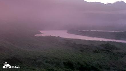 Kodiak Alaska Brown Bears Live Webcam - Aug 24, 2026, 6:54am AKDT