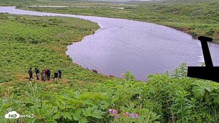Kodiak Alaska Brown Bears Live Webcam - Jul 27, 2026, 5:54pm AKDT