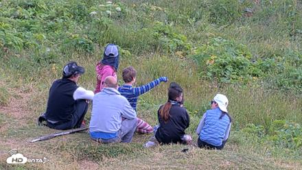 Kodiak Alaska Brown Bears Live Webcam - Aug 2, 2026, 3:11pm AKDT