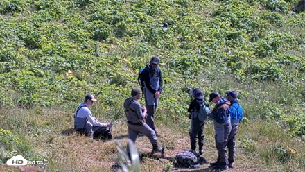 Kodiak Alaska Brown Bears Live Webcam - Jul 31, 2026, 2:10pm AKDT