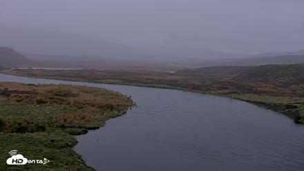 Kodiak Alaska Brown Bears Live Webcam - Oct 4, 2026, 8:28am AKDT
