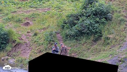 Kodiak Alaska Brown Bears Live Webcam - Aug 4, 2026, 4:13pm AKDT