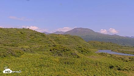 Kodiak Alaska Brown Bears Live Webcam - Aug 8, 2026, 5:19pm AKDT