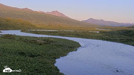 Kodiak Alaska Brown Bears Live Webcam - Jul 24, 2026, 10:05pm AKDT