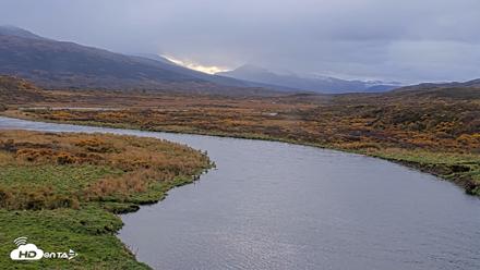 Kodiak Alaska Brown Bears Live Webcam - Oct 8, 2026, 10:09am AKDT
