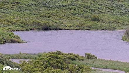 Kodiak Alaska Brown Bears Live Webcam - Jul 23, 2026, 8:39pm AKDT