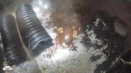 US Fish & Wildlife Black-Footed Ferret Live Cam - Oct 14, 2026, 10:23am MDT