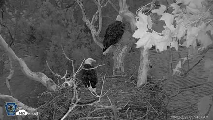 PA Farm Country Eagles Live Cams - Aug 2, 2026, 5:54am EDT