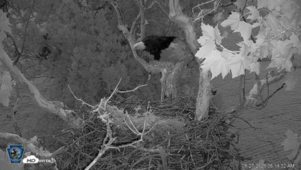 PA Farm Country Eagles Live Cams - Aug 27, 2026, 6:15am EDT
